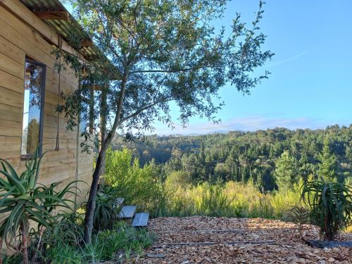a bench next to a house with a tree at Melody Hills in Sedgefield