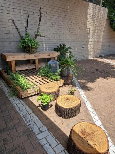 a wooden bench with four tree stumps in a garden at Windpomp Self Catering in Paarl