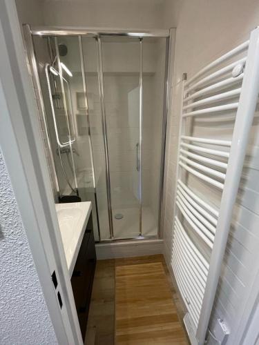 une salle de bain avec une douche, un lavabo et un miroir dans l'établissement Appartement Cosy 4 personnes au coeur des Pyrénées, à Vielle-Aure