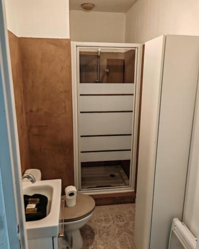 une salle de bain avec une douche, des toilettes et un lavabo dans l'établissement Appartement cosy - hypercentre au calme - patio, à Nice