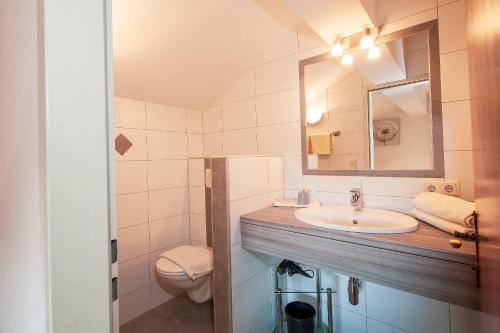 a bathroom with a sink and a toilet and a mirror at HOLIDAY Apartments in Jerzens