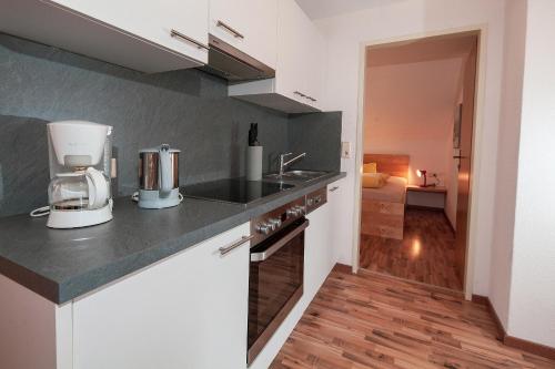 a kitchen with a sink and a counter top at HOLIDAY Apartments in Jerzens