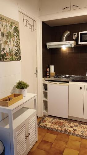 Η κουζίνα ή μικρή κουζίνα στο Petit Mignon - Hypercentre Toulouse