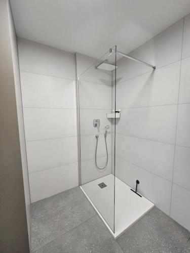 a bathroom with a shower with a glass door at Modern apartment Konjice in Slovenske Konjice