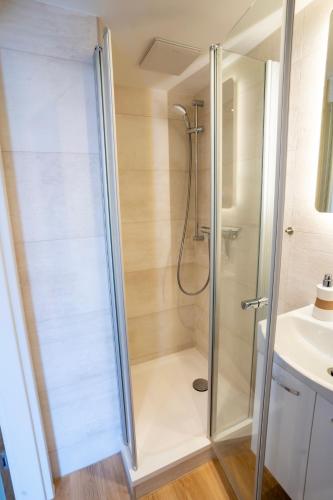 a shower with a glass door next to a sink at Littehof - Ferienwohnungen in der Oberlausitz in Löbau