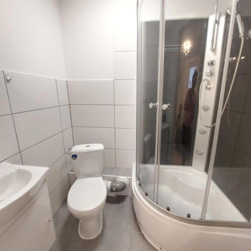 a bathroom with a toilet and a shower and a sink at Hotel 24 in Bilstein