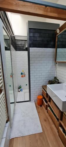 une salle de bain avec un lavabo et une douche dans l'établissement Originale maison individuelle au coeur de Paris !, à Paris