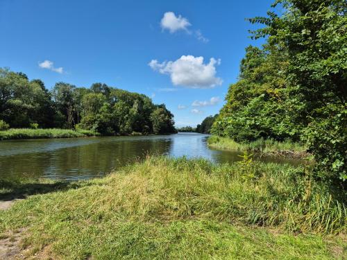 a river with trees on the side of it at vrijstaande ruime familiewoning landelijk gelegen in Lewedorp