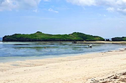 Příroda nedaleko vily