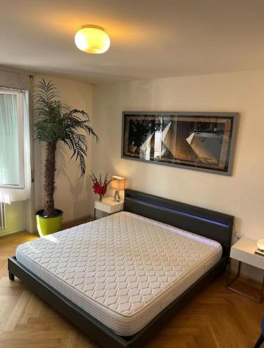a bedroom with a large bed in a room at Winter in Bern