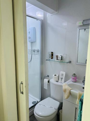 a white bathroom with a toilet and a shower at Fairfax in Skegness