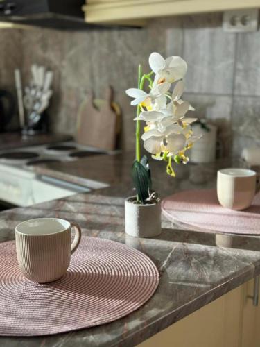 a kitchen counter with a coffee cup and a plant at Adel's in Subotica