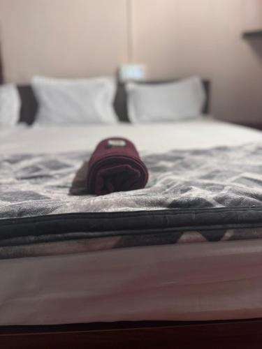 a burgundy backpack sitting on top of a bed at Taramrata Homestay in Gokarna
