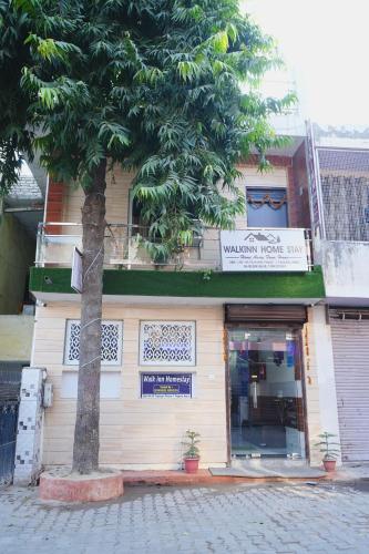 a building with a tree in front of it at Walkinn Homestay Near TAJ MAHAL in Tājganj