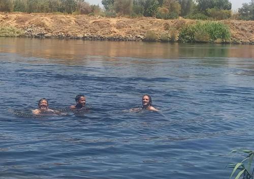 three men swimming in the water on a river at Fenti Nubian Resort in Aswan