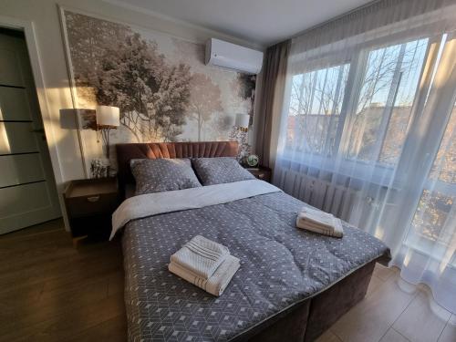 a bedroom with a bed and a large window at Apartament Coffee Time in Tarnów