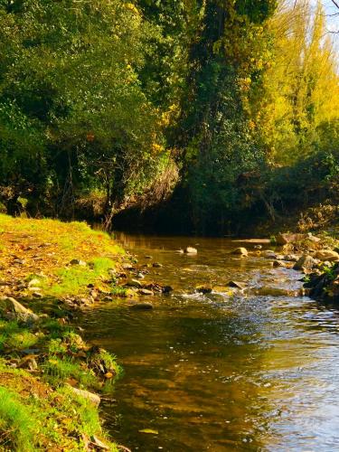a painting of a river with rocks and trees at Alojamiento La Fuente in Fuenteheridos