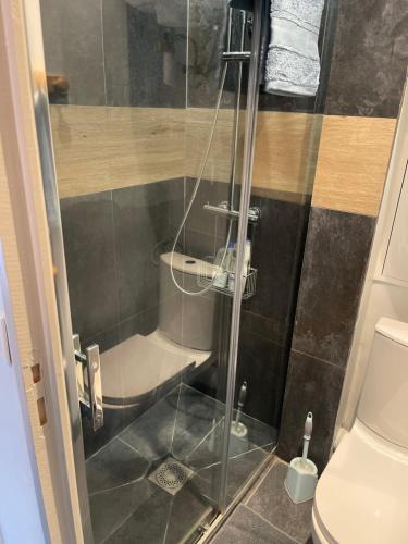 une douche dans une salle de bain avec toilettes dans l'établissement Rambouillet, à Rambouillet