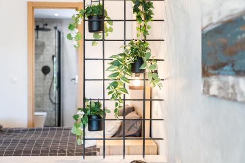 ein vertikaler Pflanzenstand mit Topfpflanzen darauf in der Unterkunft Estudio Glamuroso cerca de la playa en Mijas Costa in Málaga