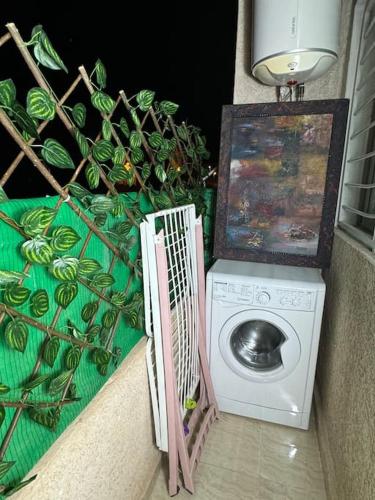 a washing machine with a painting next to a plant at Appartement fes centre in Fès