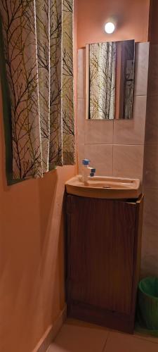 une salle de bain avec un lavabo et un miroir dans l'établissement Tiny Temple, à Varkala
