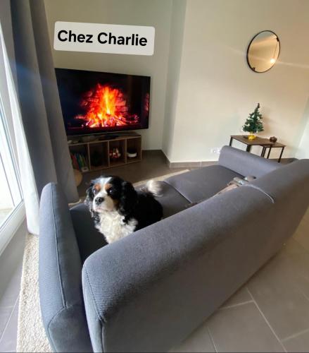 Photo de la galerie de l'établissement Chez Charlie, à Houssen