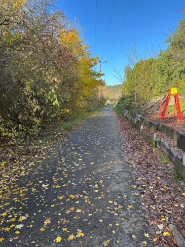 an empty road with leaves on the ground at FerienWohnung Gästehaus Merzig-Besseringen NEUBAU in Merzig