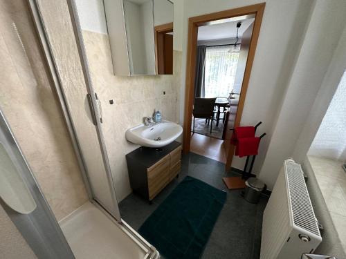 a small bathroom with a sink and a shower at Ferienwohnung Kirchbergaussicht in Olbersdorf