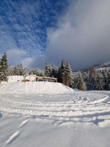 a snow covered hill with a house in the background at Ținutul Lupilor in Colibiţa