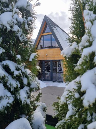 una cabaña en la nieve con árboles nevados en Tana dell Lupo, en Colibiţa