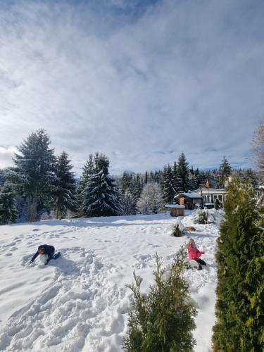 two people are playing in the snow at Cabana Căsaru in Colibiţa