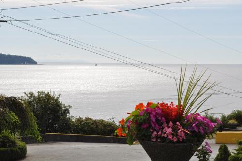 a bouquet of flowers in a pot overlooking the water at Anchor Inn and Suites in Campbell River
