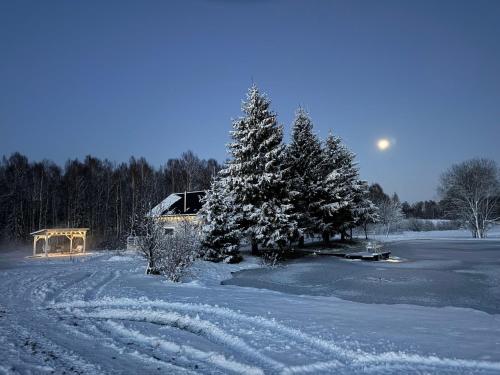a snow covered yard with a house and a tree at Relax House By The Stone in Nugariai
