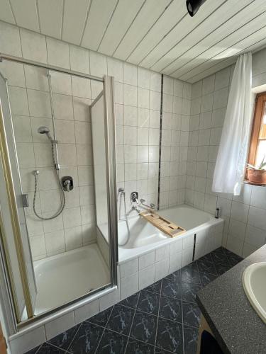 Bilik mandi di Ferienwohnung in Zaberfeld