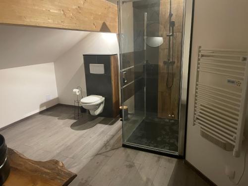 a bathroom with a shower and a toilet at Le haut du temps in Sapois