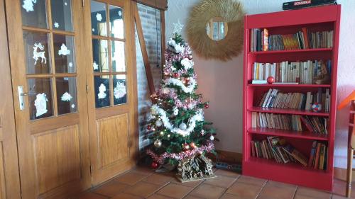 a christmas tree in a room next to a book shelf at Seuls en Pleine Nature - Gîte la Côte Blanche in Puygaillard-de-Quercy