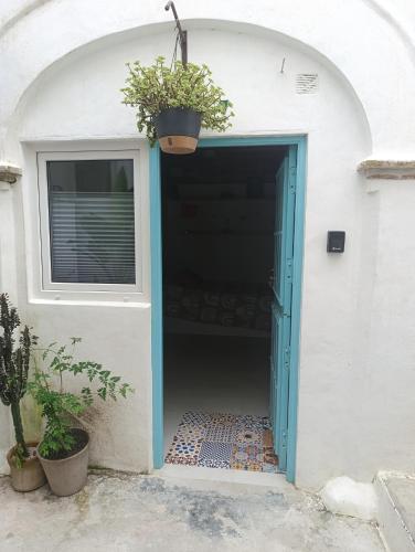 Estudio centro con Jardín compartido