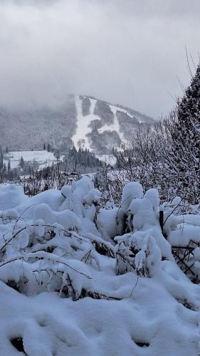 a snow covered hill with a mountain in the background at Садиба "ЯНА" in Slavske