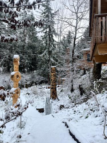 Wald ist Zukunft v zimě