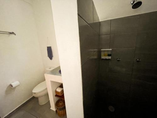 a bathroom with a shower and a toilet and a sink at Blue Mahahual in Mahahual