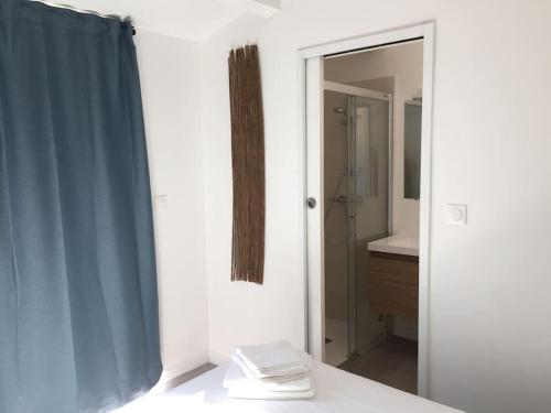 La salle de bains est pourvue d'un miroir, d'un lavabo et d'une douche. dans l'établissement Bastidon 19, à Saint-Rémy-de-Provence