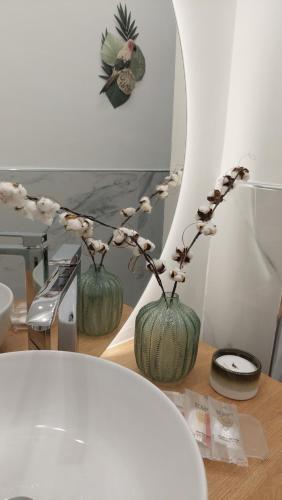 トリノにあるAppartamento Pozzo Stradaの花の花瓶2本