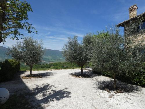 two trees on a gravel road next to a building at Borgo Crispiero in Crispiero