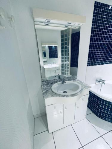 une salle de bain blanche avec un lavabo et un miroir dans l'établissement Maison D'hôte CANCLAUX, à Nantes