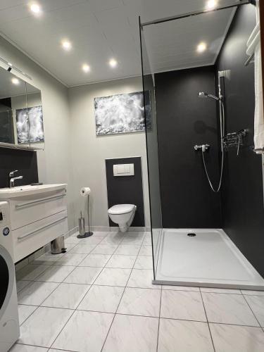 a bathroom with a shower and a toilet at FEWO-Engelgrundweiher in Schmelz
