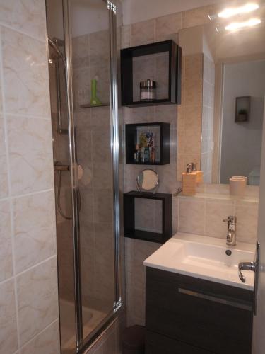 une salle de bain avec douche et lavabo dans l'établissement La Bresse OURSON, à La Bresse