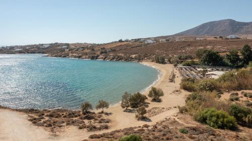 Gallery image of Paros Melodia Apartments in Logaras