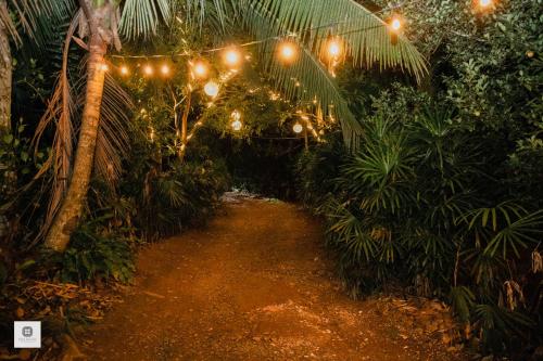 a string of lights in a forest with a pathway at Walawwa Matale in Matale