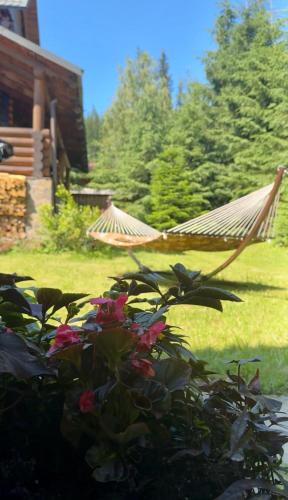 Κήπος έξω από το Cottage PolyaNitsa окремий котедж з каміном