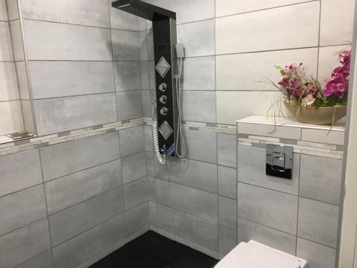 a bathroom with a shower with a phone on the wall at Loft le nid de cigogne in Sélestat